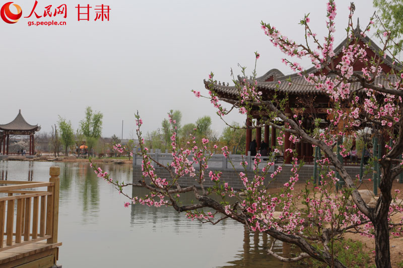 第三十一届中国·兰州桃花旅游节二十日开幕