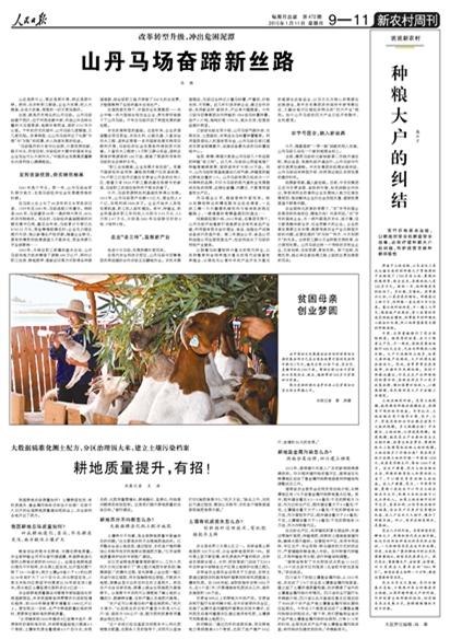 《人民日报》2015年1月11日《山丹马场奋蹄新丝路》 - 北京马友 - 山丹军马场马友的共同家园
