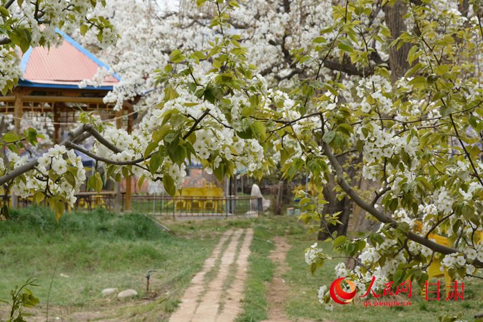 小园香径独徘徊(刘海天 摄)