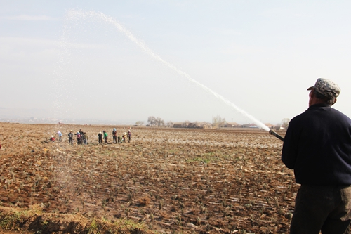 榆中150万株苗木打造 七彩田