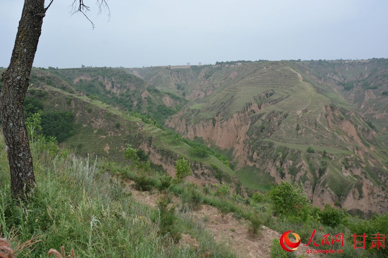 芳草碧连天(刘海天 摄)