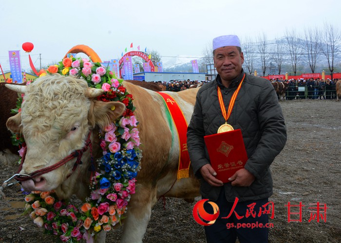 2015年甘肃康乐牛文化旅游节开幕 年度牛王