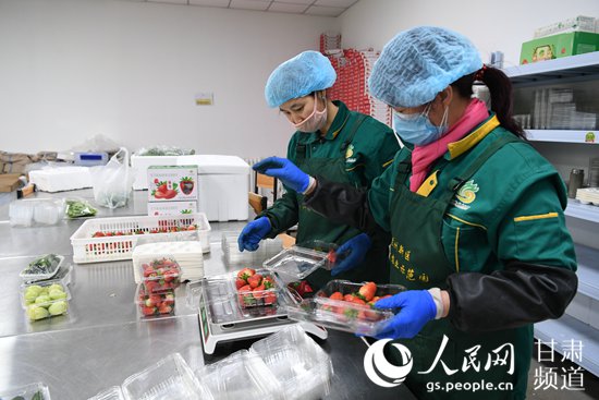蘭州新區現代農業示范園的工人們正在包裝採摘的草莓。（唐學仁 攝）