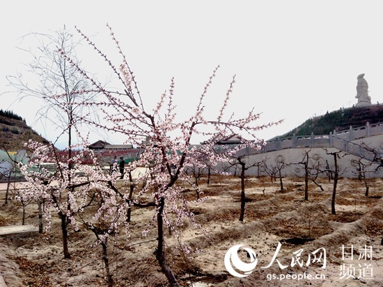 安寧區仁壽山桃花源。（高翔 攝）