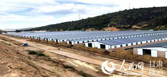 貸款支持的慶陽華池縣肉羊扶貧產業示范基地建設項目。（農發行甘肅省分行供圖）