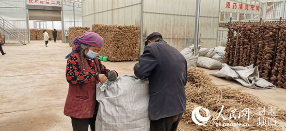 哈达铺镇药乡农民专业合作社联合社的工人正在工作。（黄帆 摄）