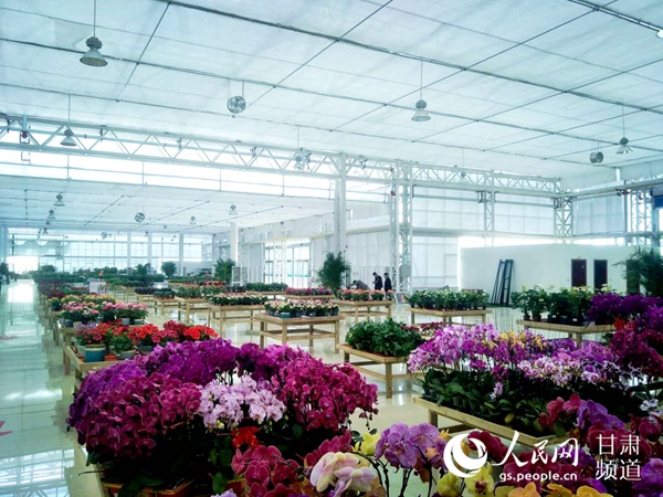 “新裝”開業的花卉交易中心（高翔 攝）