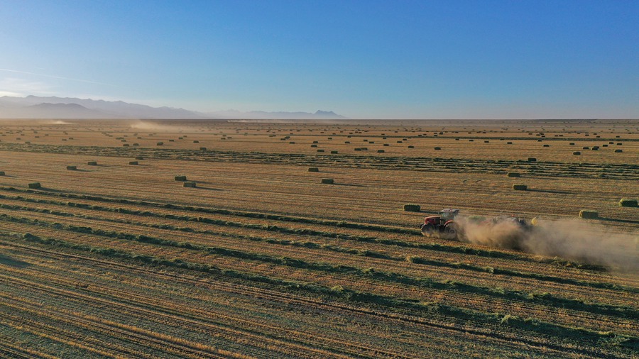 山丹马场21万亩燕麦草正在进行打包机械化作业。王超摄