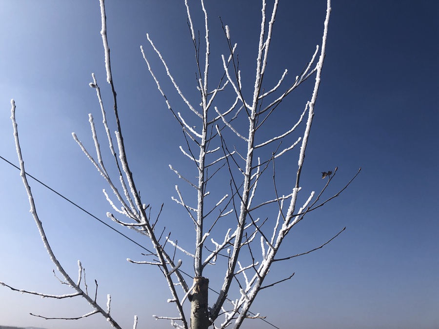 甘肅省蘭州市榆中北山出現罕見冰霧。 祁進寶攝