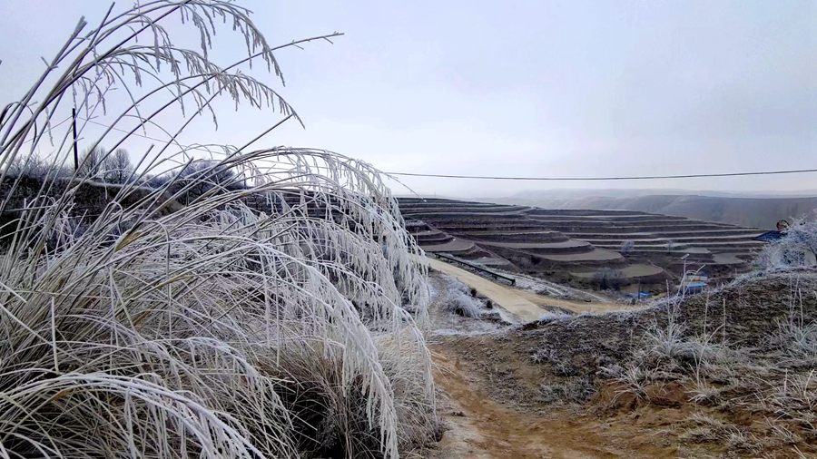 甘肅省蘭州市榆中北山出現罕見冰霧。 祁進寶攝