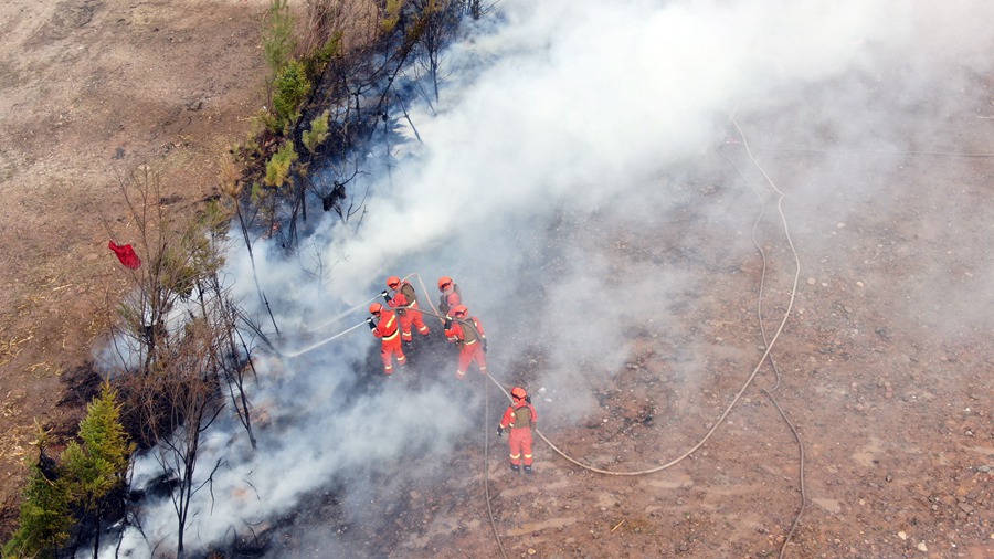 ������������Ԯ��Ա�����������ڻ���������