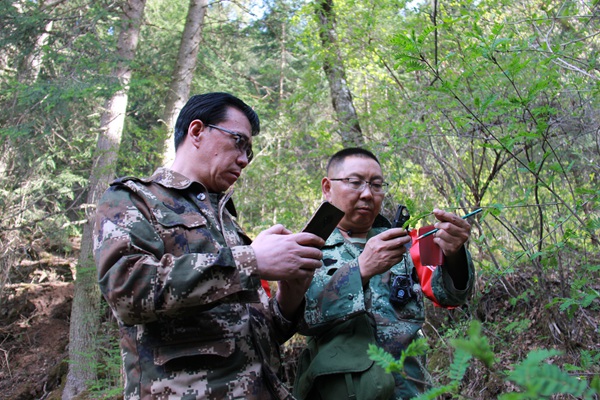 甘肃连城国家级自然保护区管理局竹林沟保护站工作人员对保护区植被进行数据和影像采集上传。顾正萍摄