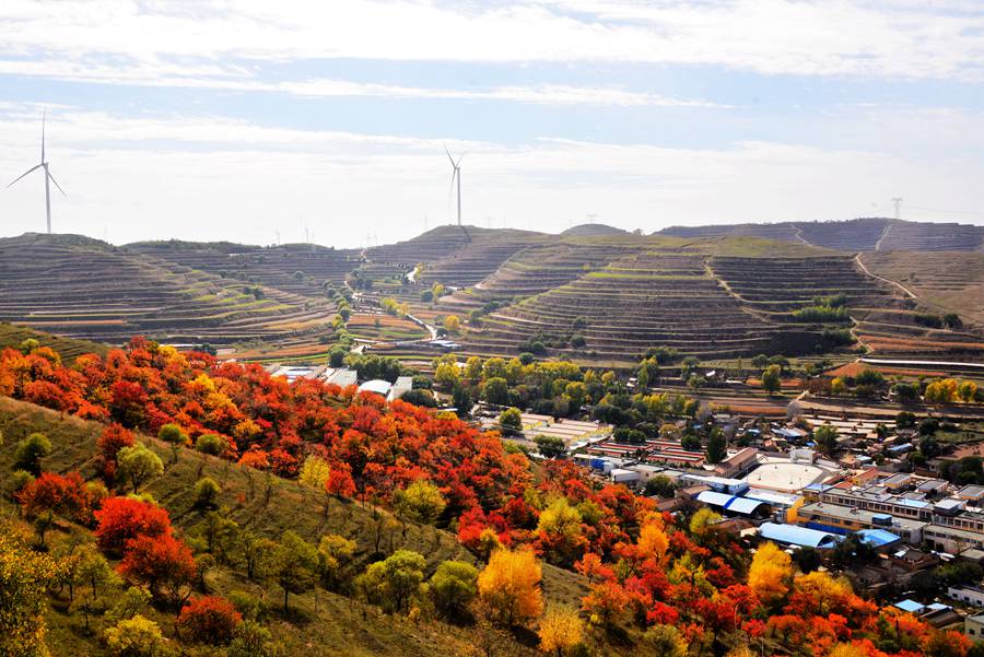 甘肅隴西：秋陽下  風車悠悠送綠電。張愛平攝