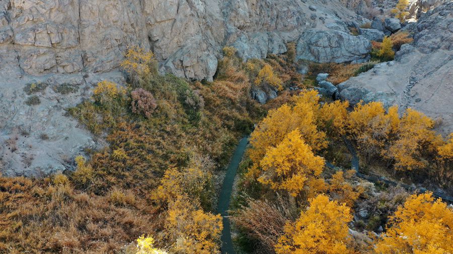 位于甘肃省敦煌市悬泉置遗址的悬泉谷内秋景如画。张晓亮摄