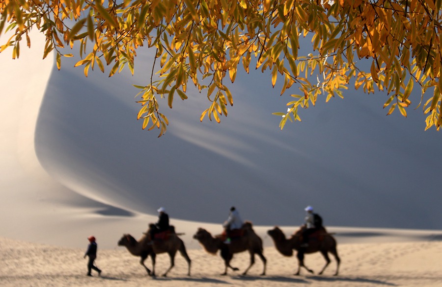 11月6日，游客在甘肃省敦煌市鸣沙山月牙泉景区游览。张晓亮摄
