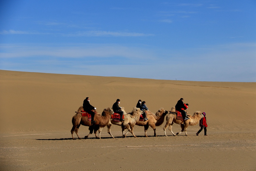 游客在鳴沙山月牙泉景區乘騎駱駝游覽。張曉亮攝