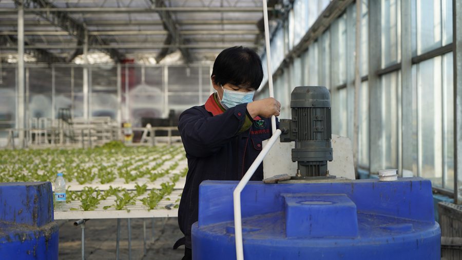 榆中康源蔬菜產銷專業合作社工作人員張紅玲查看水肥一體化設施運轉情況。彭東升攝