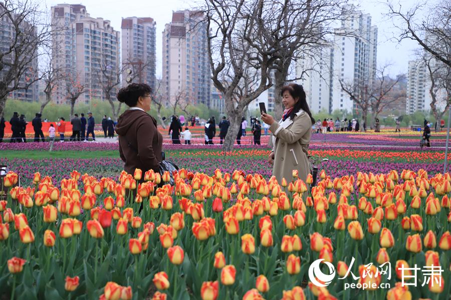 游客在黄河畔欣赏郁金香。人民网记者 黄帆摄