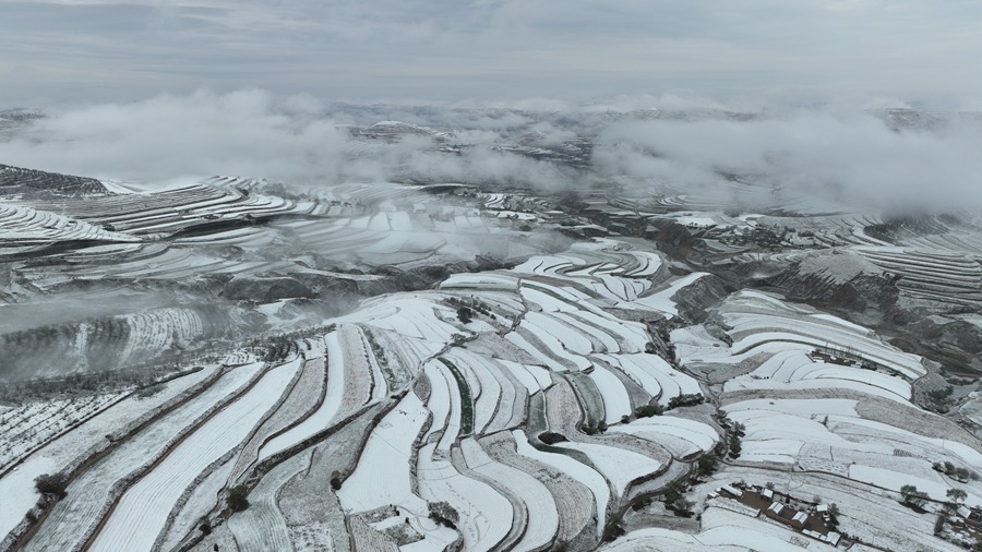 雪霁梯田壮美如画。张文博 摄