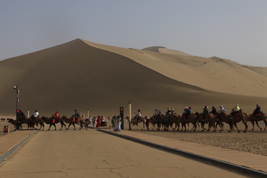 “骆驼红绿灯”让景区交通更有序。张晓亮摄