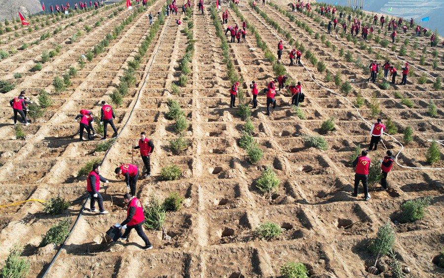  Tree planting activity site. Photographed by Kang Zhengdong