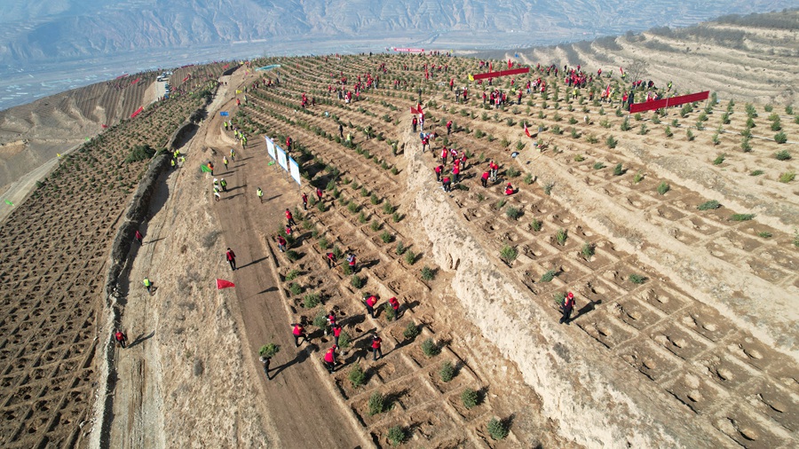 植树活动现场。康正东摄