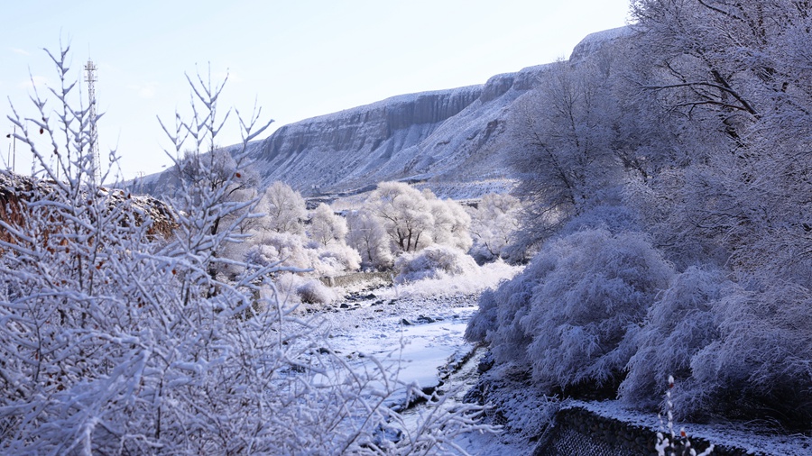 甘肃肃南：玉树琼枝美如画。武雪峰 安维斌摄