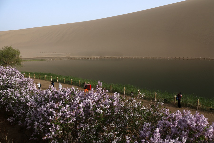游客在甘肃省敦煌市鸣沙山月牙泉景区游览。张晓亮摄