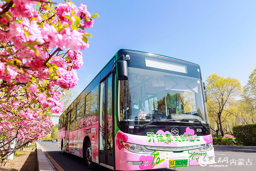 “開往春天的巴士”穿行在絲綢之路大道。王劭凱攝