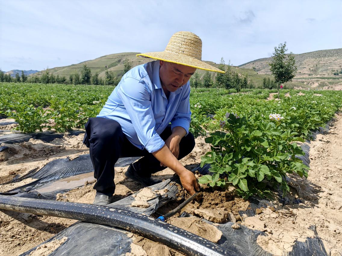 现代丝路寒旱农业节水灌溉示范项目竣工通水