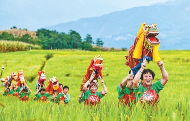 各地开展庆丰收活动三千多场次