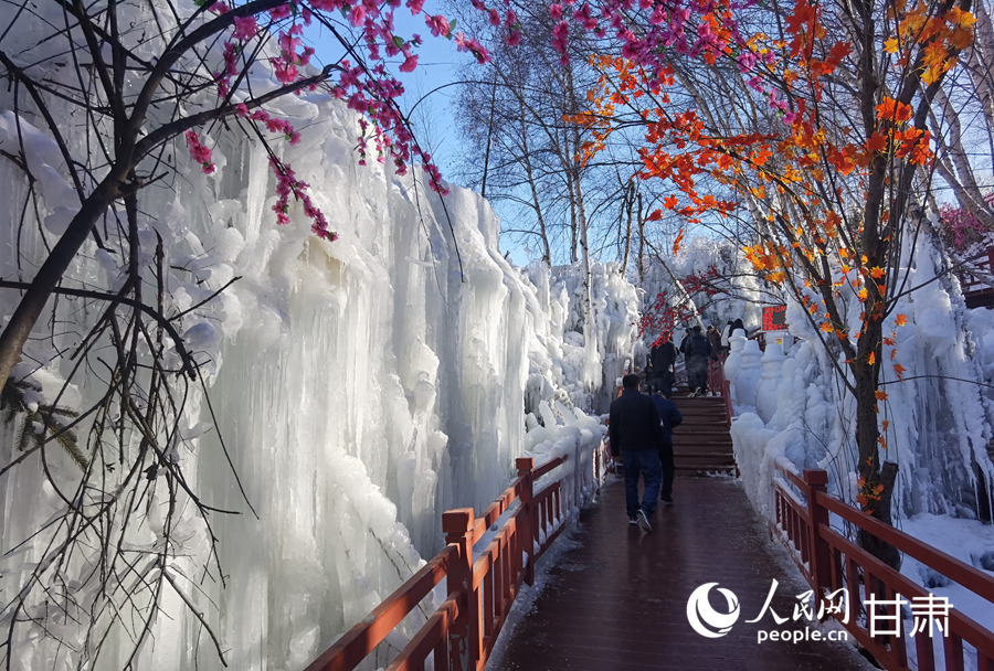 甘肃康乐："冷冰雪"带动"热经济" 邂逅冬日最美白桦林【3】