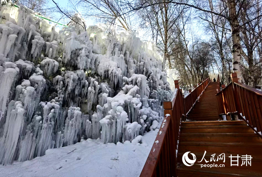 甘肃康乐："冷冰雪"带动"热经济" 邂逅冬日最美白桦林【4】