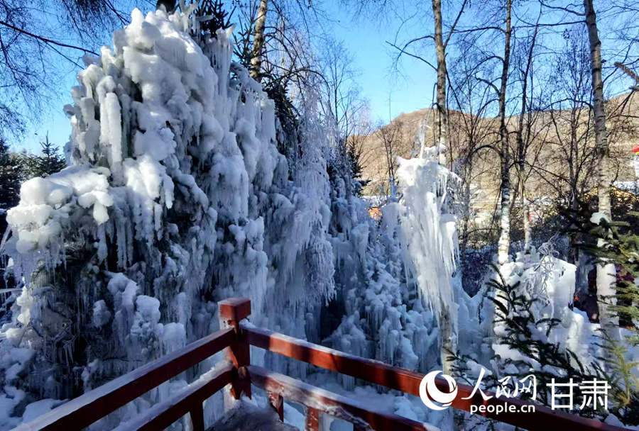 甘肃康乐："冷冰雪"带动"热经济" 邂逅冬日最美白桦林【5】