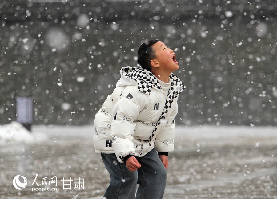 新春走基层|甘肃礼县：瑞雪迎佳节 赏雪戏雪乐开怀【6】