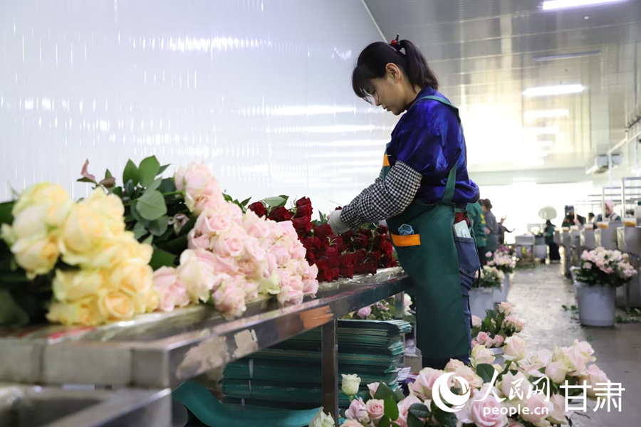 产业工人正在包装鲜切花。人民网记者 黄帆摄