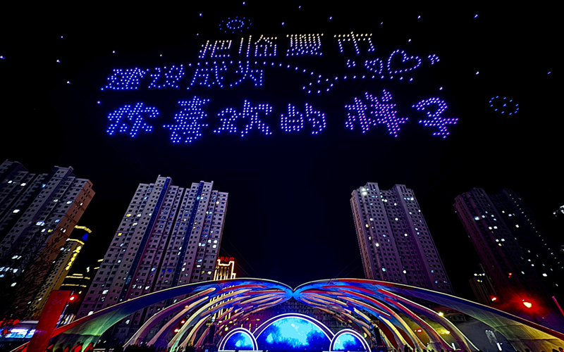 花开临夏 2025河州牡丹文化嘉年华盛大启幕