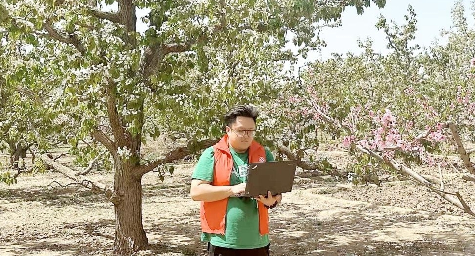 数字技术赋能  古梨园焕发新活力