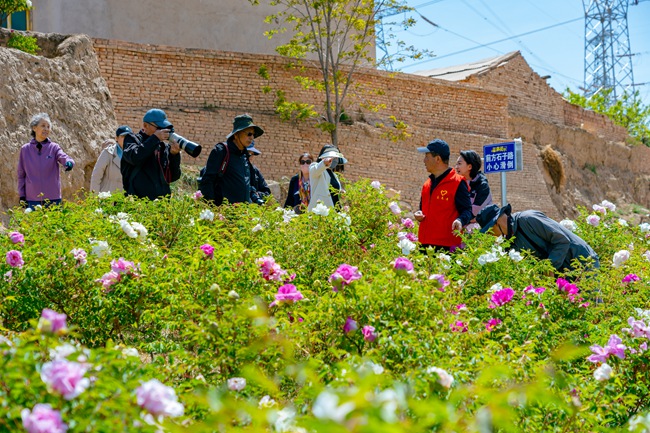 游人踏青賞花。榆中縣委宣傳部供圖