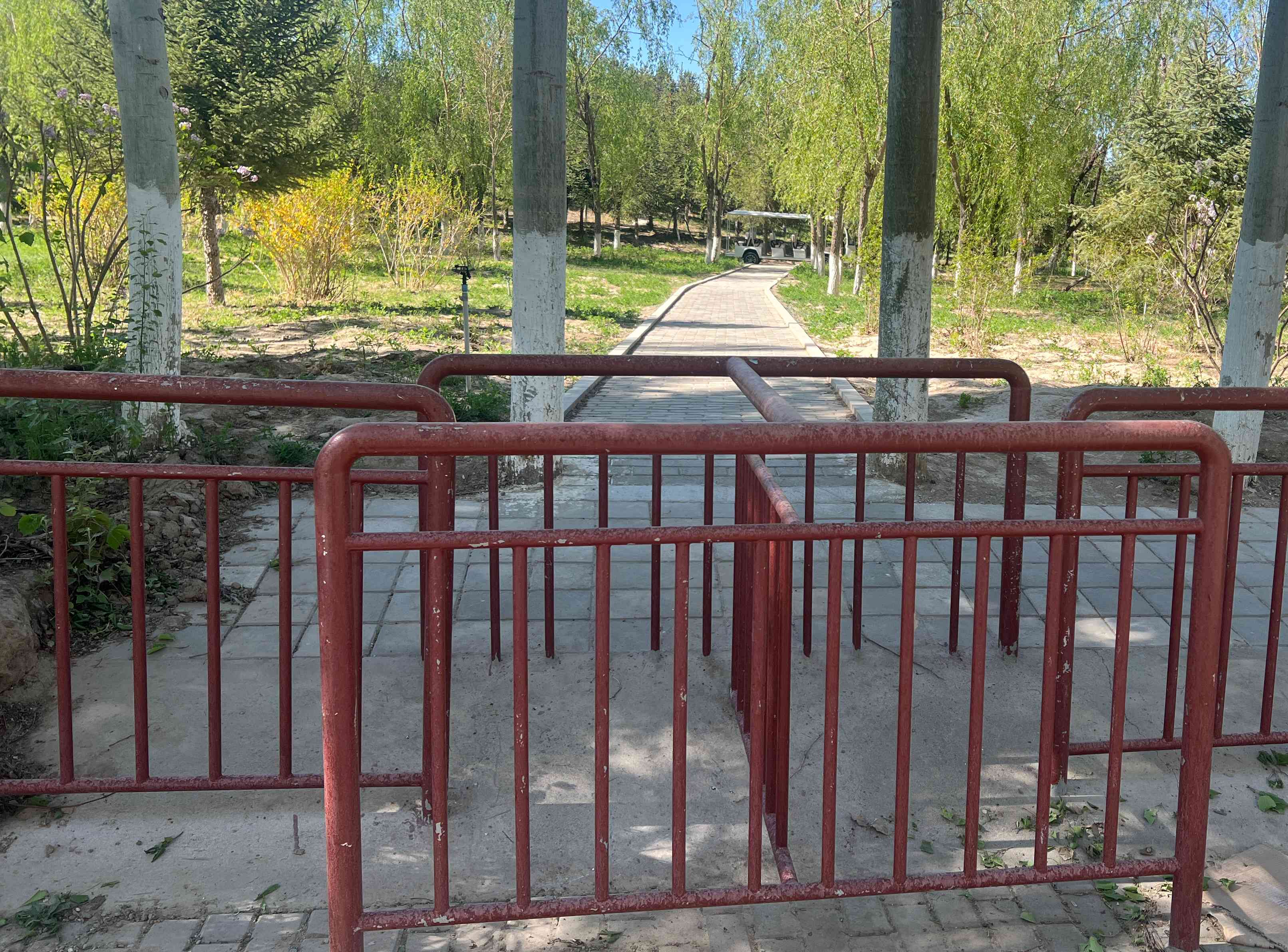 圖為東湖生態公園新建設的出入口。東湖生態旅游景區供圖