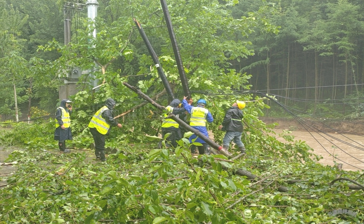 電信工作人員清理受損杆路。周穆塵攝