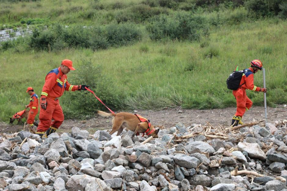 8月10日11时，消防救援人员携带搜救犬在榆中县马坡乡马莲滩村，利用气味搜集管等装备器材分组对受灾区域展开地毯式排查。甘肃消防供图