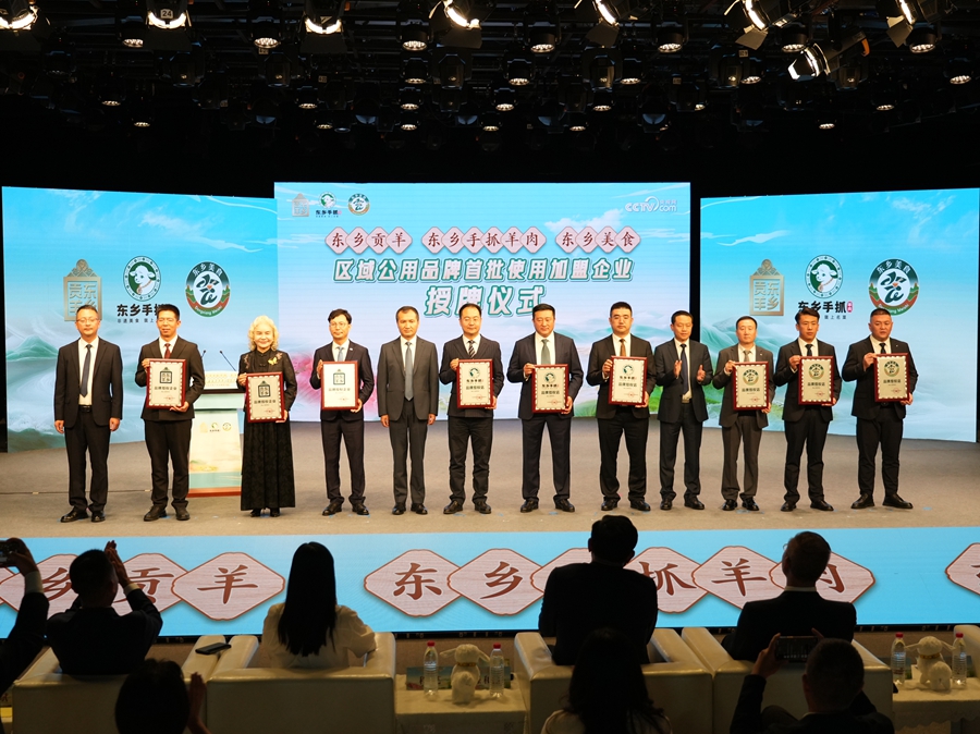 发布会现场。东乡县委宣传部供图