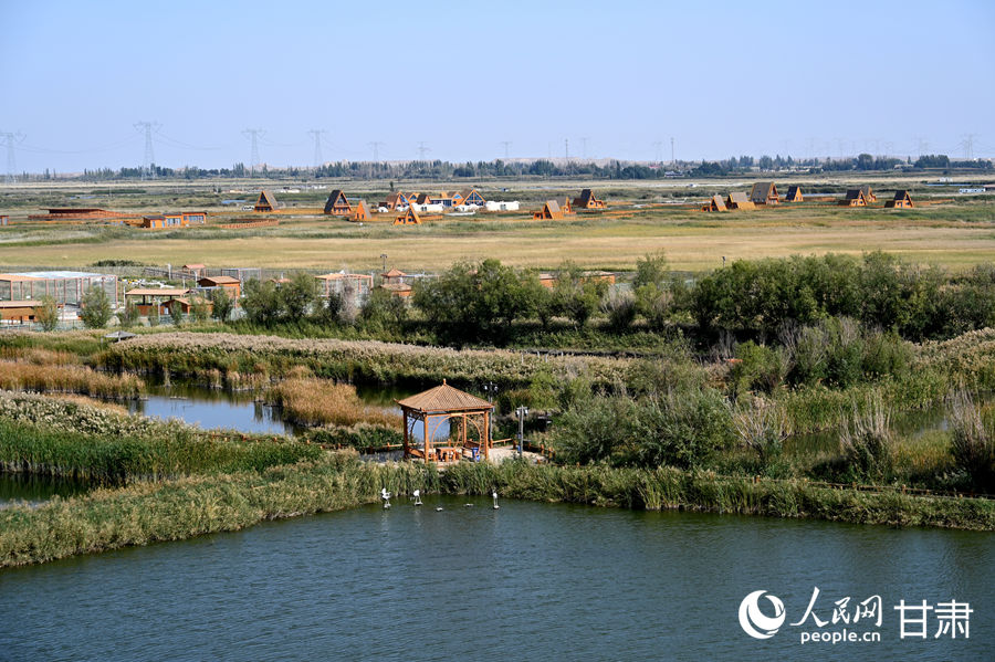 甘肅酒泉：祁連葦海蕩碧波【5】