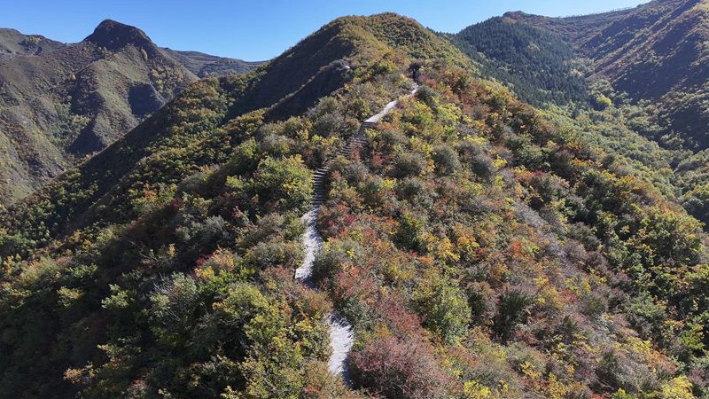 醉人的秋日盛景。永靖縣委宣傳部供圖