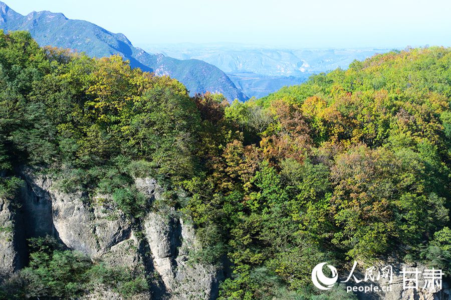 群山环抱，满目苍翠。人民网记者 米媛摄