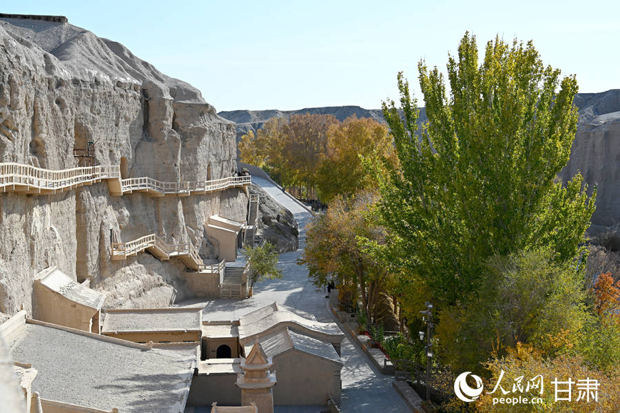 榆林窟秋韵【3】