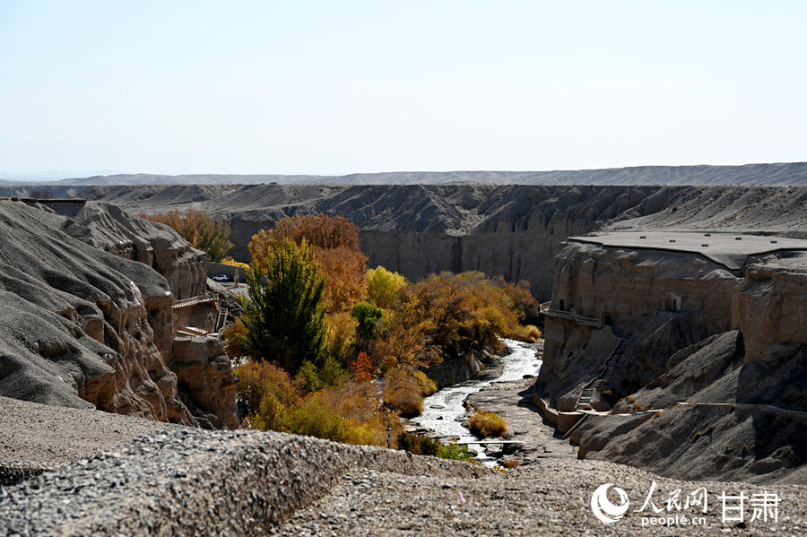 榆林窟秋韵【9】