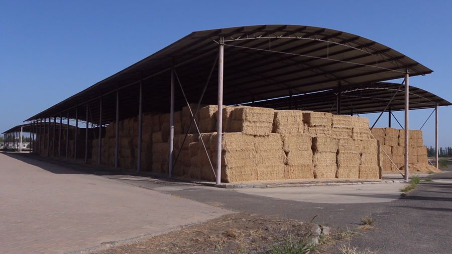 張掖市甘州區沙井鎮集中堆垛點。孫昊攝