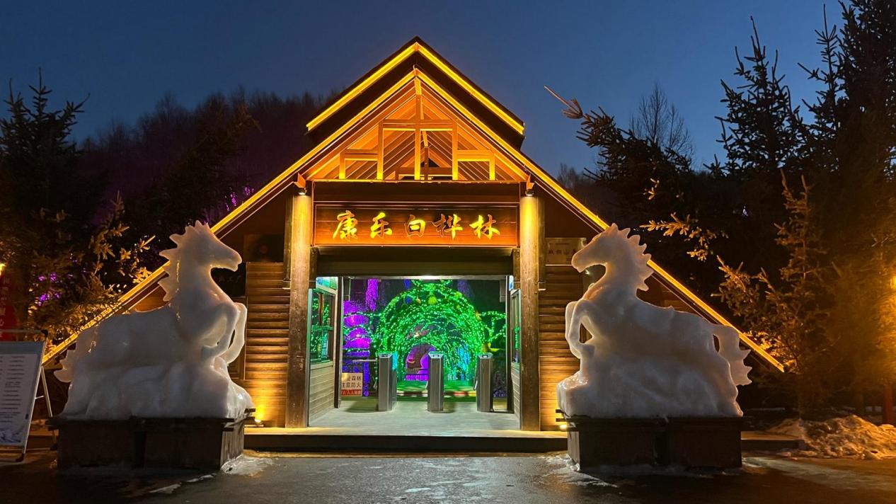 康樂白樺林冰雪夜景迎客來。康樂縣委宣傳部供圖